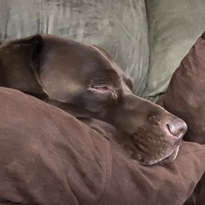 Meet your Posher, Cecilia